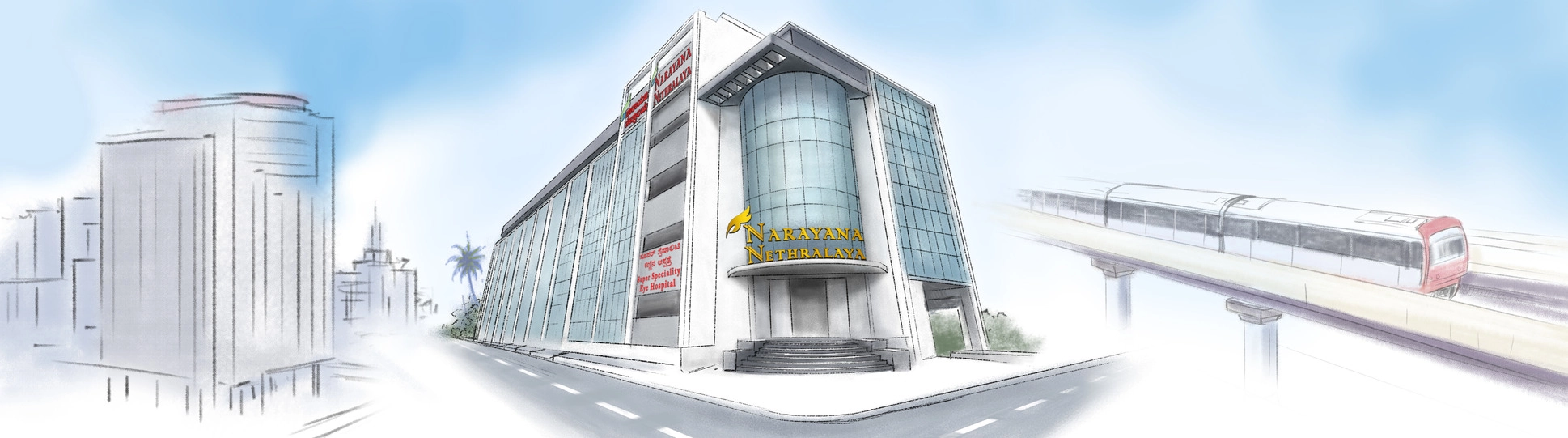NN Whitefield